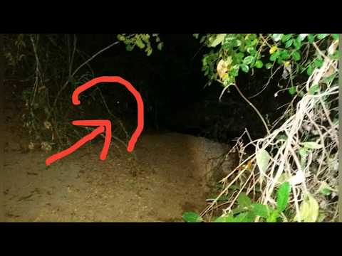 PONTE ANTIGA MAL ASSOMBRADA,AONDE MORREU UMA PESSOA😫😫😫😫FUI LA PARA INVESTIGAR,DEU RUIM!!!