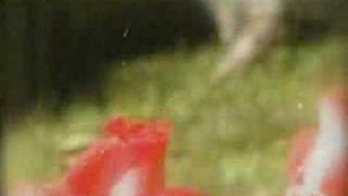 Se Feliz Rosa Lyrics English Translation