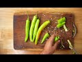 Mirapakaya Bajji | ఎన్ని తిన్నా ఇంకా తినాలనిపించే ఈసీ చిల్లి చీస్ మిర్చి బజ్జి | Mirchi Bajji Recipe - Video