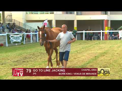 Show AQPS Ouest 2018 : Lot 79 - GO TO LINE JACKING