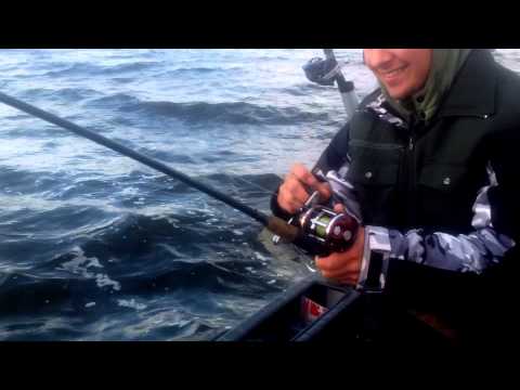 trolling soma  daugava