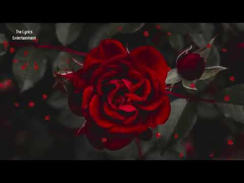 Entertainment ( HninSi WinKabar- Lay Phyu)