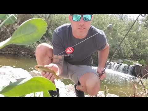 Fishing the Wash with Red Wiggler Worms From my Compost Bin!