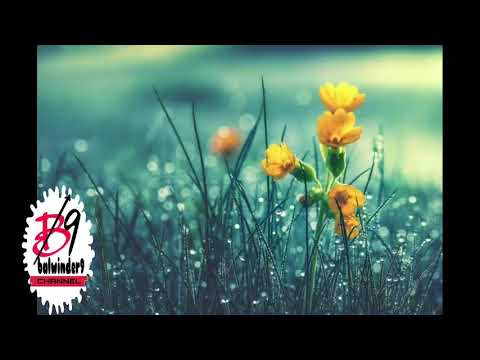 Flower poetry  new live by || balwinder ||