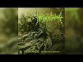 Near Death Condition The Disembodied In Spiritual Spheres Full Album