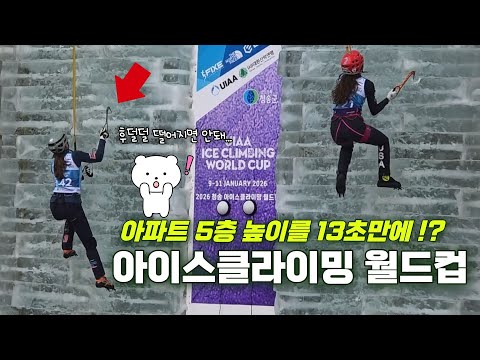 [온통청송] 청송 클라이밍 월드컵