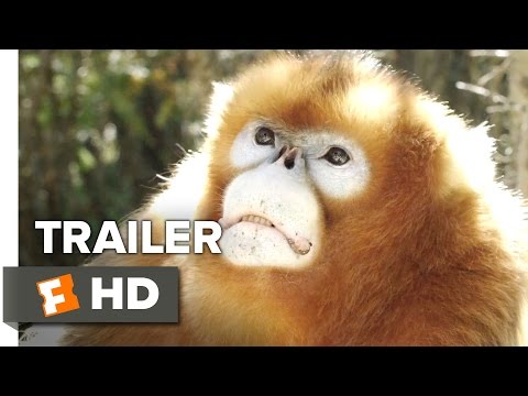 Born in China 'Earth Day' TRAILER (2017) - Disneynature Documentary HD