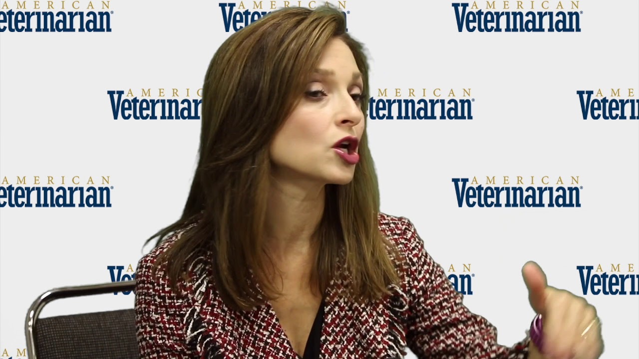 Quick, Easy Tips For Implementing Fear Free