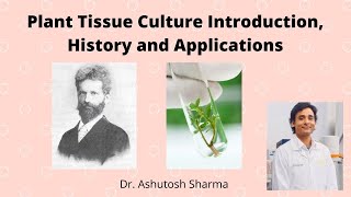 Plant Tissue Culture Introduction, History and Applications