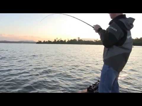 DUO Realis Bassmaster pro Kevin Hawk introduces Realis Jerkbait 100SP