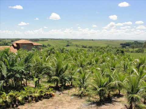 Sertanejo Sem Mistura - Dany & Diego