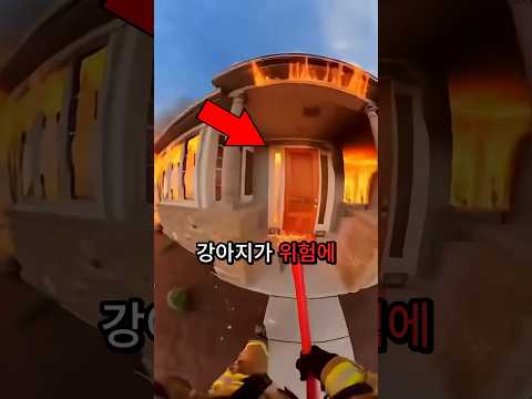 그녀는 강아지가 사라진 줄 알았습니다... 소방관이 강아지를 구출할 때까지요 😱