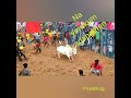 Karur Sp Kumar Vellaiyan In AVARAMPATTY Jallikattu 2017 Vs 2021