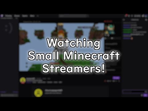 So I watched some minecraft small streamers...