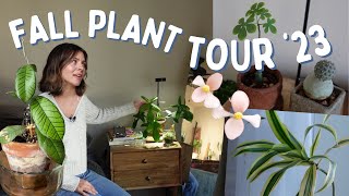 My houseplant collection 2023