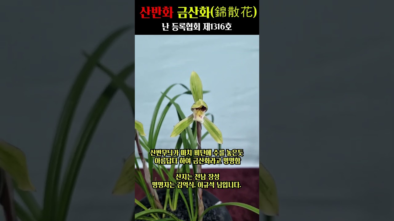 쇼츠 썸네일
