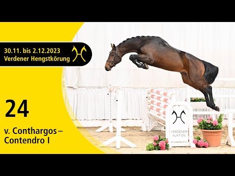 Verden Stallion Licensing 2023 - Jumping - Dec. 1/2- No. 24 Stallion by Conthargos - Contendro I