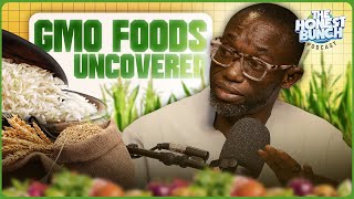 GMO Uncovered Pt 1: The Battle for Nigeria’s Food Security | Ft. Farmer Samson Ogbole |Honest Bunch