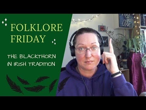 Magical Trees - the Blackthorn in Irish Folklore - Prunus Spinosa