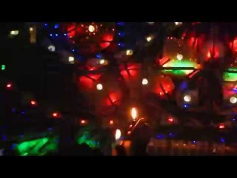 Congo Natty - Cross 21.3.014