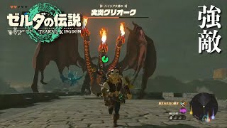 【ティアキン実況＃４】チューリとともにヘブラ山から空島神殿攻略！強敵グリオークに立ち向かう！２つ目の龍の泪も！【ゼルダの伝説】