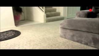 Jinsu Hitting Jasmine Villegas (Scene from &#39;Didn&#39;t Mean It&#39;)