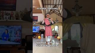 Download lagu Sekadung kading, Thai mosquito rolling around 🦟✨ mp3 Download lagu Sekadung kading, Thai mosquito rolling around 🦟✨ mp3