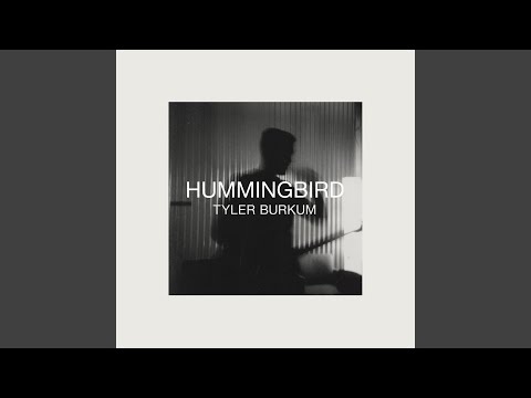 Video thumbnail for Hummingbird