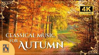 Download lagu 秋のためのクラシック音楽｜秋の森と紅葉の映像とともに mp3