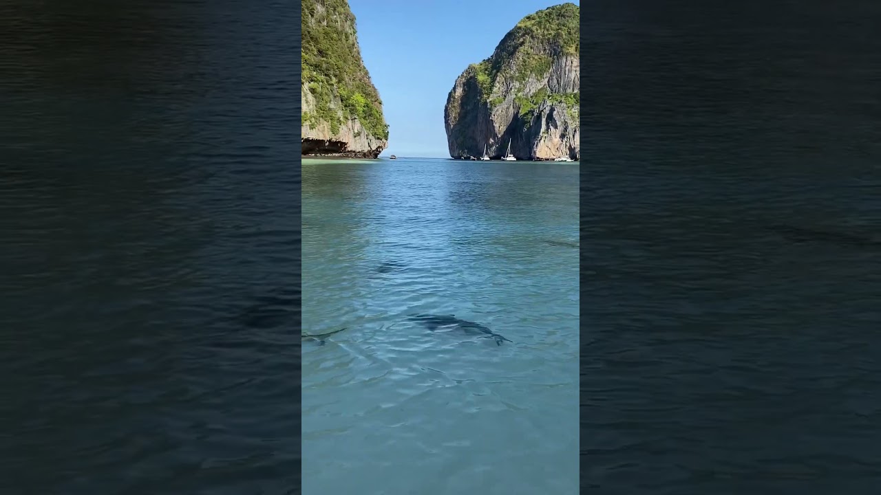 YouTube Short thumbnail