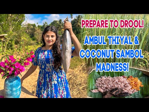 A Taste of Southern Sri Lankan Traditional Ambul Thiyal, Coconut Sambol and Brown Rice