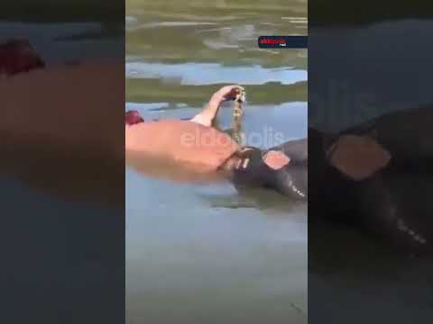 🚨 Macabro hallazgo en Puerto Irala | Alto Paraná