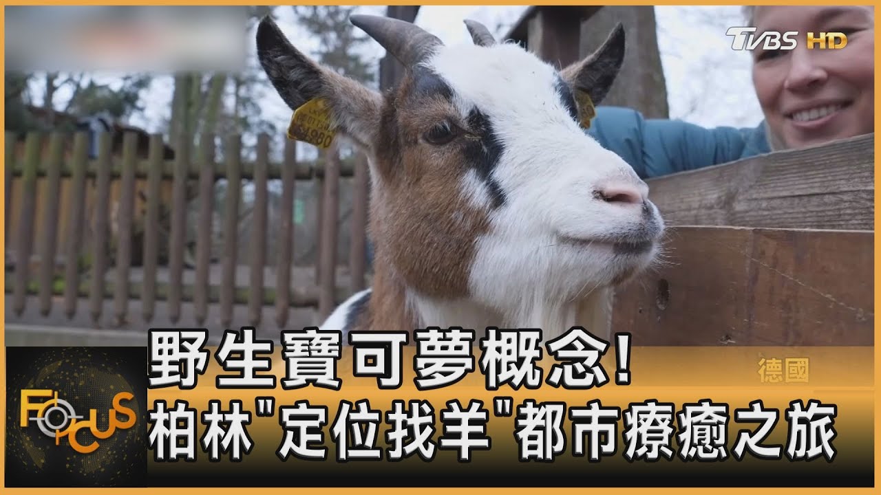 野生寶可夢概念! 柏林「定位找羊」都市療癒之旅