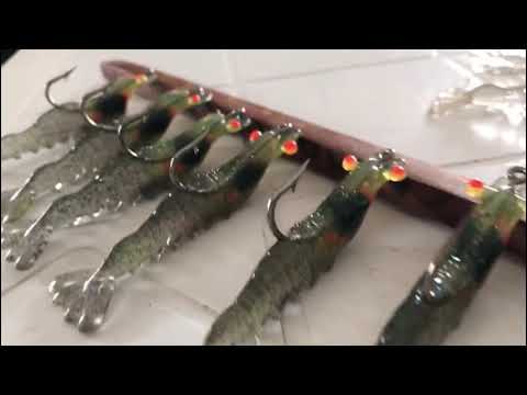 Camarão Zébalo boiado no verão !!!! Incrível