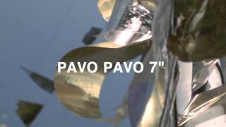 Pavo Pavo 7&quot; out May 20