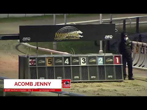 Acomb Jenny - BGBF British Bred Northern Maiden Standard Heat 1