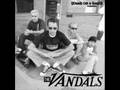 The vandals - the new you