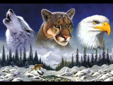 Voices of the Wind - Native American - Beautiful Meditation