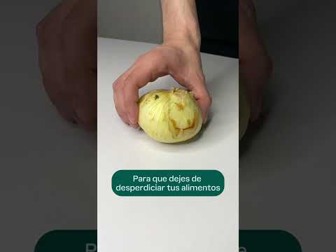 Contenedor Cebolla - Video