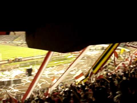 vamos vamos tiburon vamos tiburon...........