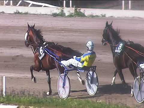 Trotto 17/05/2019 - 7ª corsa