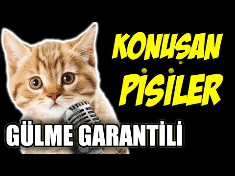 GÜLMEZSEN PARAN İADE 🤣🤣🤣 - En Komik Konuşan Pisiler Videoları