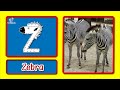 ABC Animal Facts For Kids Learn The Alphabet Letter Sounds With Animals And Animal Facts