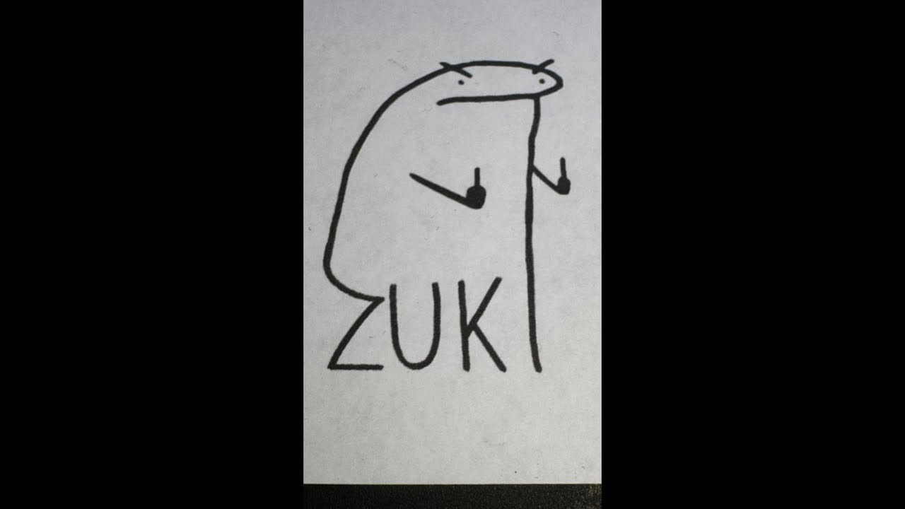 ZUKI AOVIVO E MAIS VIVO