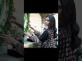 Limelight New December Collection Limelight Like Youtubeshorts Like Limelightsale Pret Limeli