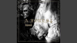 Shadows Ov Ea Cast Upon Golgotha Music Video