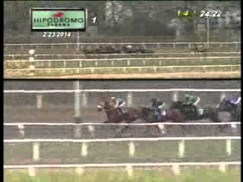 1RA CARRERA DOMINGO 23 DE FEBRERO DE 2014 HPR