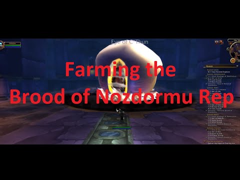 Farming Brood of Nozdormu Reputation
