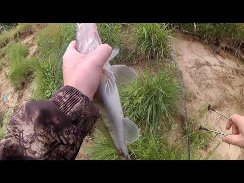 Щука на джиг. КЛЯЗЬМА 2020. Рыбалка с берега.