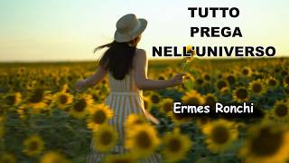 TUTTO PREGA NELL'UNIVERSO